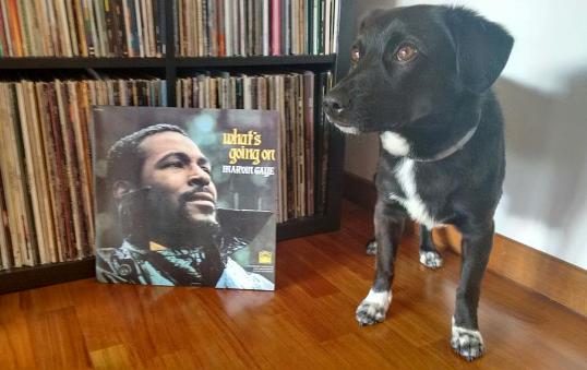 marvin-gaye-whats-going-on.jpg